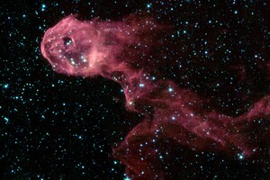 NASA показало снимок туманности Хобот слона