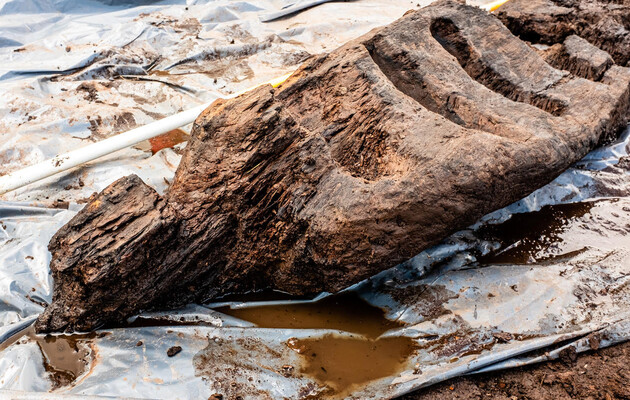 В Ірландії археологи знайшли дерев'яного ідола залізної доби