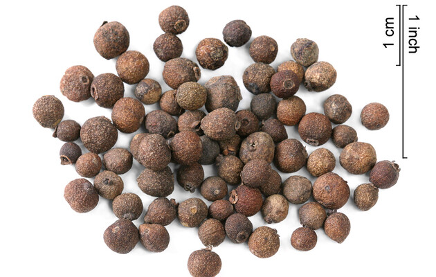 Аромат духмяного перцю з'явився для приваблення кажанів