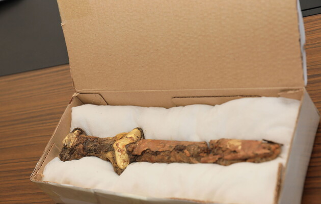 Археологи нашли атефакты эпохи сарматов