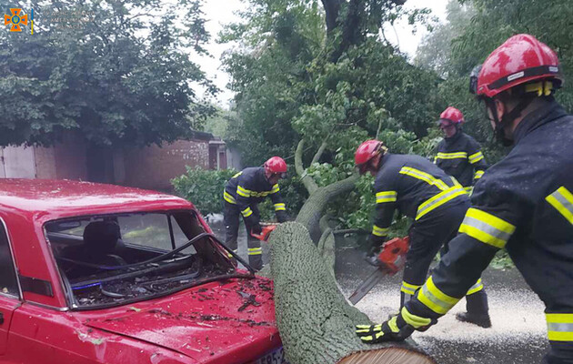 Непогода в Хмельницкой области: поваленные деревья и подтоплены дома – фото, видео 