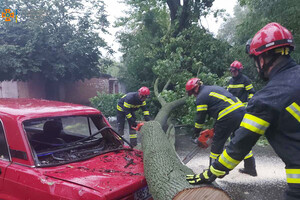 Непогода в Хмельницкой области: поваленные деревья и подтоплены дома – фото, видео 