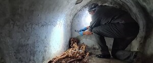 Археологи нашли в Помпеях хорошо сохранившийся скелет греческого раба