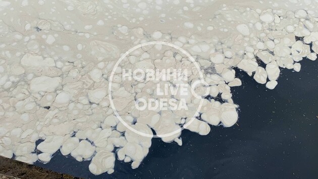 В Одессе море покрылось белыми пятнами, а на пляже неприятно пахнет — видео