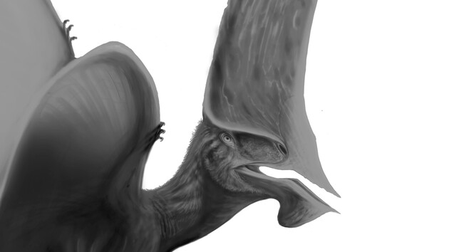 Поліція вилучила у контрабандистів останки птерозавра з крейдової доби