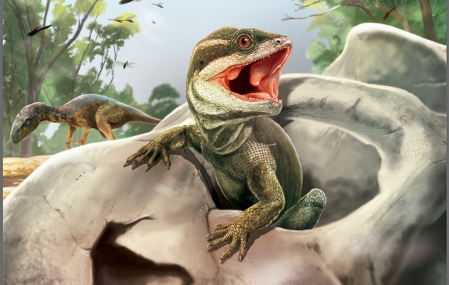 Археологи знайшли скам'янілість предка сучасних рептилій