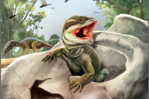 Ученые нашли предка большинства современных рептилий 