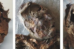 Археологи узнали, что погубило древних людей в пустыне Атакама