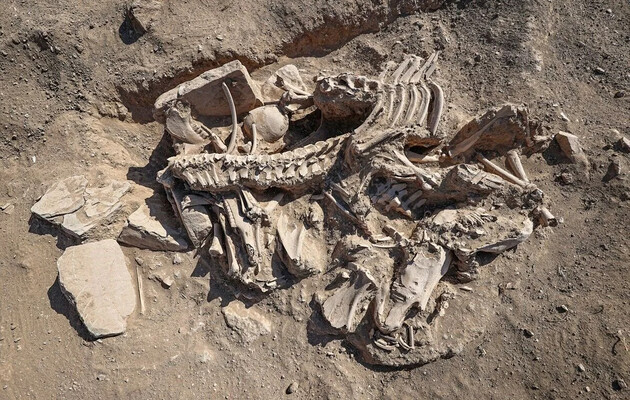 В Турции археологи раскопали 2800-летнее захоронение древнего правителя