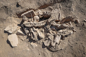 У Туреччині археологи розкопали 2800-річне поховання стародавнього правителя 