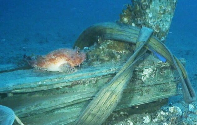 Підводні археологи виявили два бронзових корабельних тарана біля берегів Сицилії 