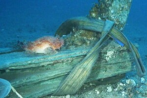 Підводні археологи виявили два бронзових корабельних тарана біля берегів Сицилії 