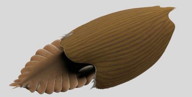  Вчені відкрили новий вид хижого членистоногого Titanokorys gainesi