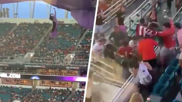 Кот остался без повреждений