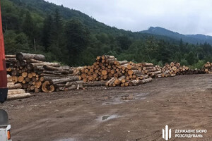 На Буковине выявили незаконную рубку деревьев в заповеднике 