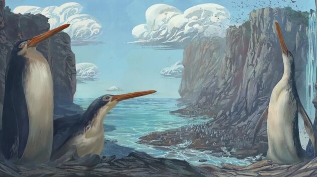 У Новій Зеландії діти знайшли скелет нового виду гігантських пінгвінів 