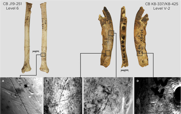 Костяные инструменты использовали для выделки шкур