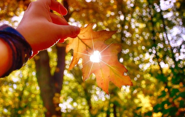 22 сентября в Северном полушарии наступает астрономическая осень