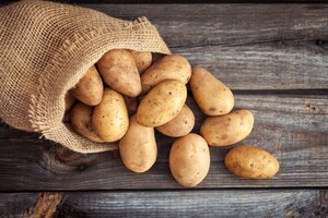 Украина стала крупнейшим экспортером картофеля в Беларусь
