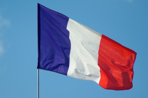 Французькі «Зелені» висунули еколога Жадо своїм кандидатом на виборах президента у 2022 році 
