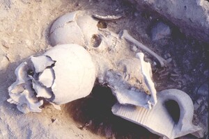 Ученые нашли останки византийского воина, элементы челюсти которого были золотыми