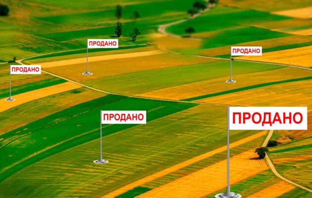 Рынок земли: украинцы раскупили уже 62 тысячи гектаров 