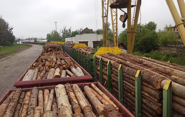Украина обсудит на саммите с ЕС отмену моратория на экспорт леса