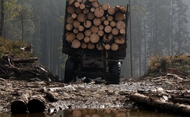 Підігрування Бондарю на конкурсі на посаду в Держлісагентство спровокує жорстку реакцію влади – блогер