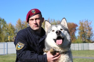 Возьми друга из приюта: Винницкие полицейские провели фотосессию с бездомными собаками, чтобы найти для них дом 