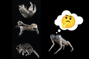 Ученые научили робота-гепарда приземляться по-кошачьи
