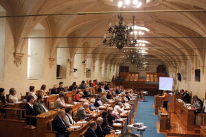 В Сенате Чехии сомневаются в возможности президента управлять страной