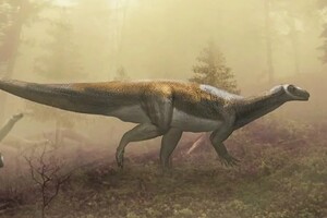 Найденные в 1960-х годах следы динозавра принадлежали не тому, кому считалось