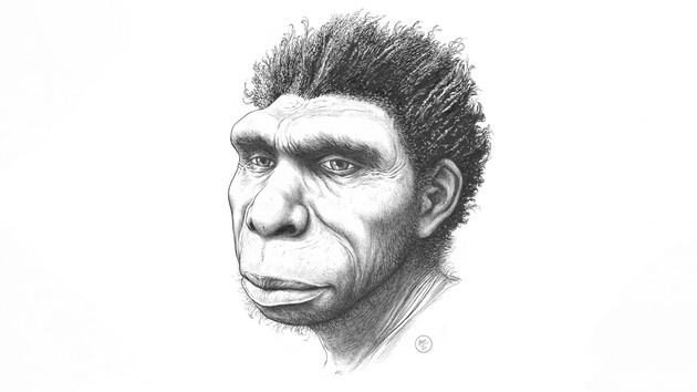 Предка людини назвали Homo bodoensis