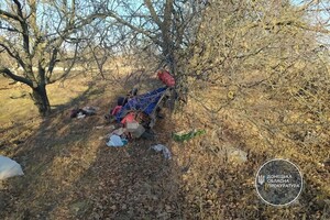 ДТП в Донецкой области — погибла 4-летняя девочка, еще двое детей и их мать травмированы