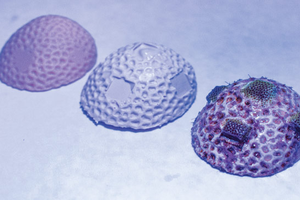 Ученые предложили использовать 3D-печать при восстановлении коралловых рифов