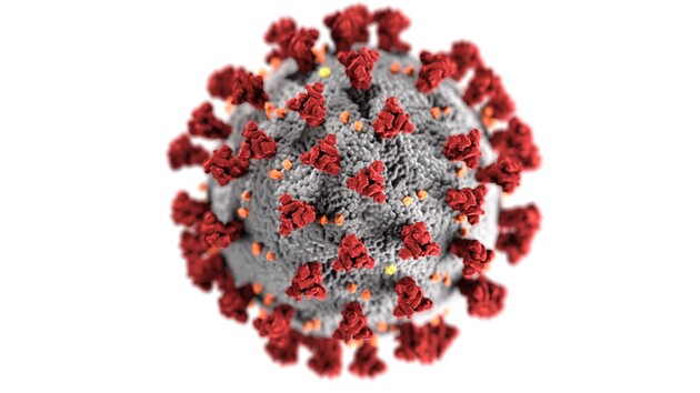 Ученые нашли антитело против разных коронавирусов