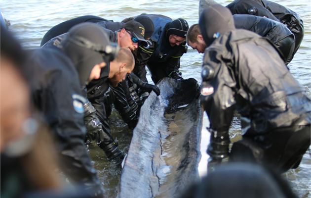 Фото: Wisconsin historical society