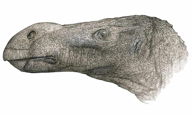 Врач случайно нашел новый вид динозавров «с большим носом»