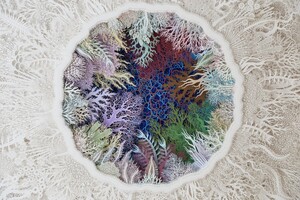Американский художник через бумажные скульптуры демонстрирует пагубное влияние изменения климата на кораллы