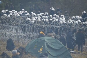 Небольшая группа мигрантов из Беларуси прорвалась через польскую границу — видео