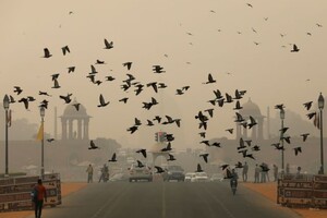 В столице Индии закрыли школы из-за опасного смога