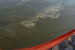 У Миколаївському морпорту відбувся черговий аварійний розлив олії в акваторії (ФОТО)