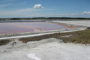 ФДМУ готовий продати за 6 млн грн соледобувне підприємство в природоохоронній зоні на Рожевих озерах Херсонщини 