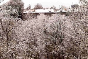 Синоптики рассказали, когда ждать снега в Украине 