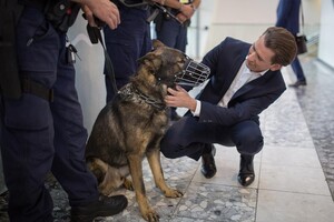 Австрійського екс-канцлера Курца одноголосно позбавили депутатського імунітету