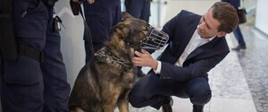 Австрийского экс-канцлера Курца единогласно лишили депутатского иммунитета