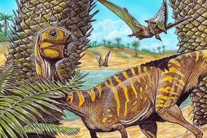 У Бразилії знайшли останки «дуже рідкісного» беззубого динозавра