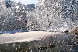 В Карпатах выпал метр снега