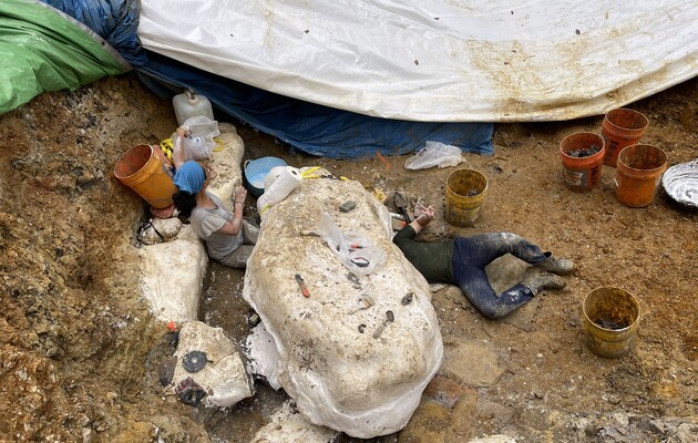 Ученым удалось найти останки утконосого динозавра