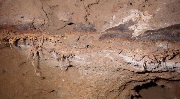 Вчені оцінили вік ліжка у 40 тисяч років